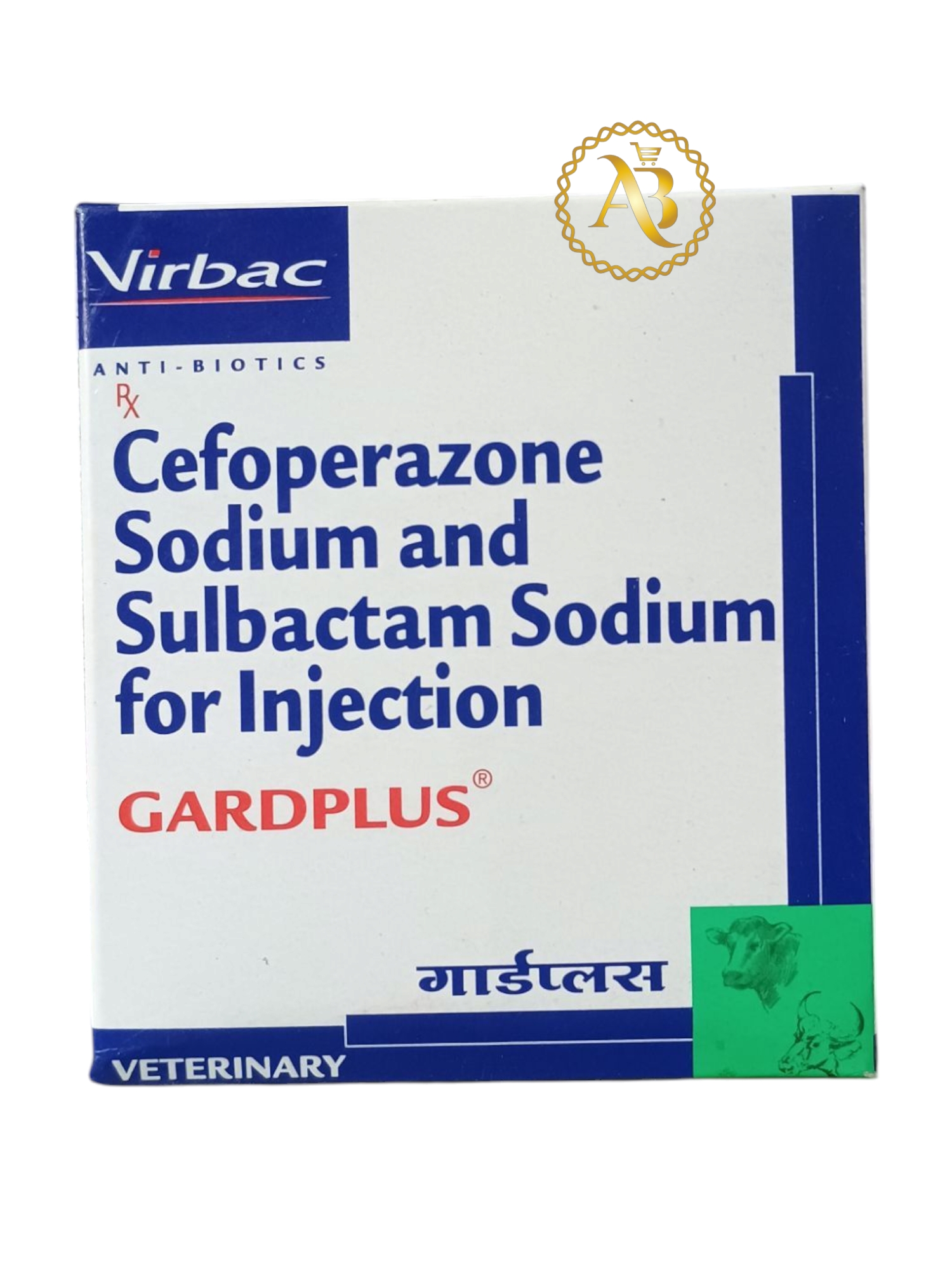 Photoroom-20250226_153043