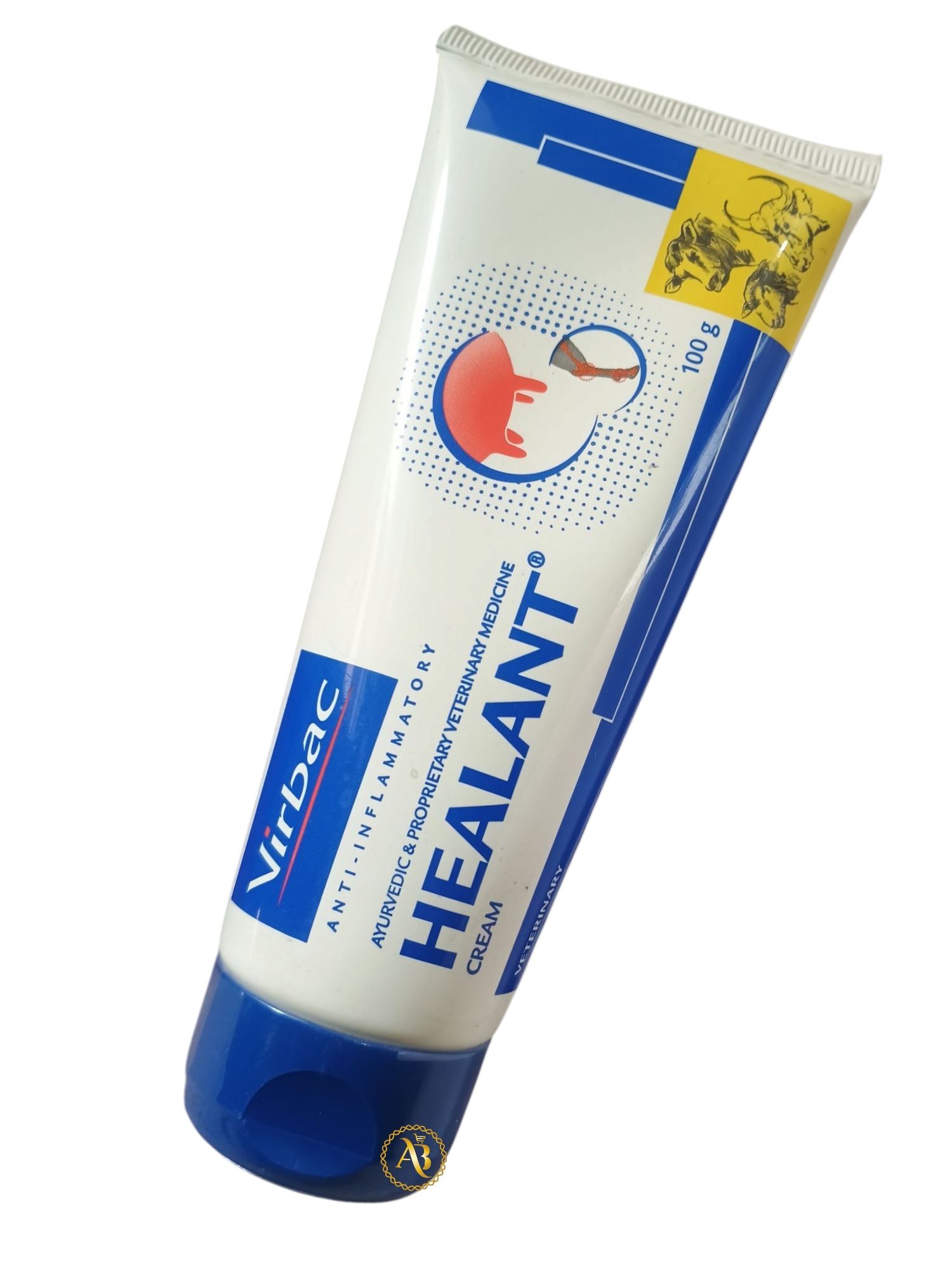 Photoroom-20250226_153918