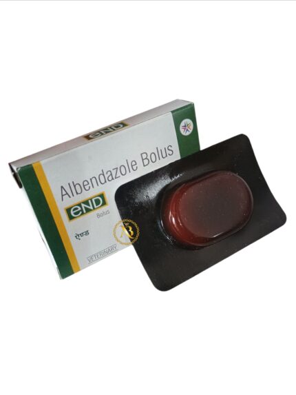 END BOLUS