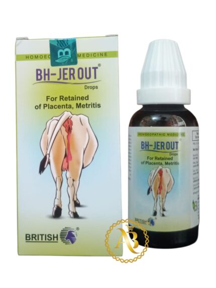 BH-JEROUT 30ML