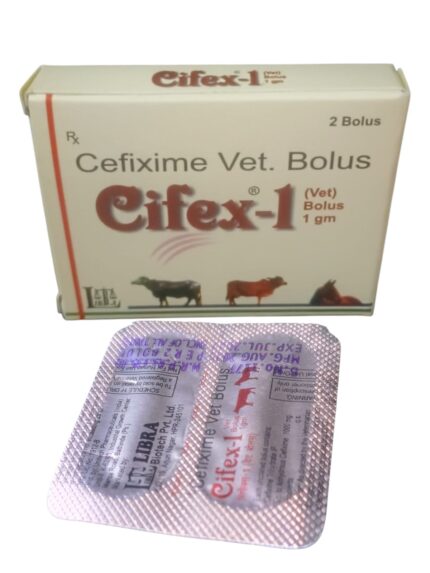 CIFEX-1gm (1×2) BOLUS