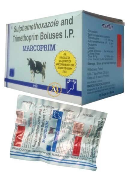 MARCOPRIM BOLUS(1×4)