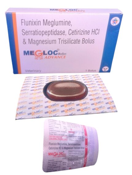 MEGLOC ADVANCE 1×1 BOLUS