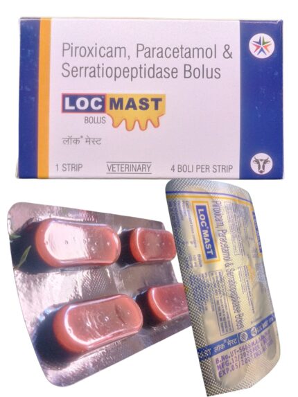 LOC MAST (1×4 BOLUS)